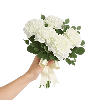 Minimalist White Orchids
