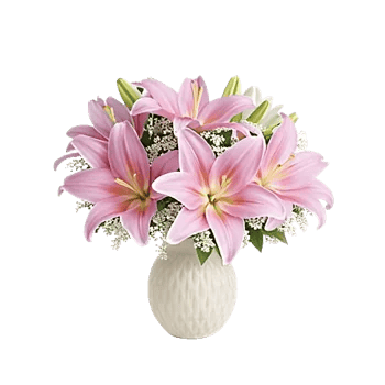 Graceful Lily Display