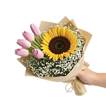 Blossom Harmony Display