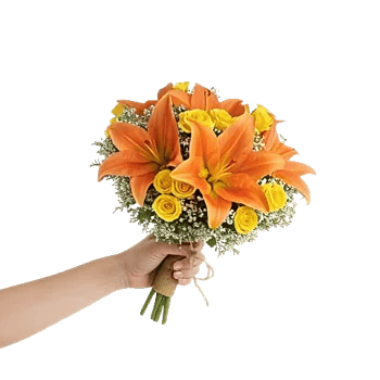 Blossom Harmony Display