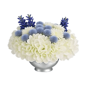Sapphire Bloom Whisper