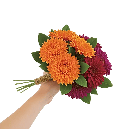 Petal Radiance Bliss