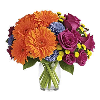 Petal Radiance Bliss