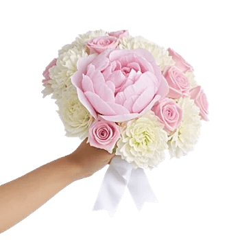 Peony Petal Harmony