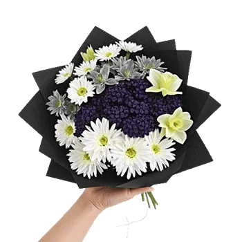 Blossom Grace Spread