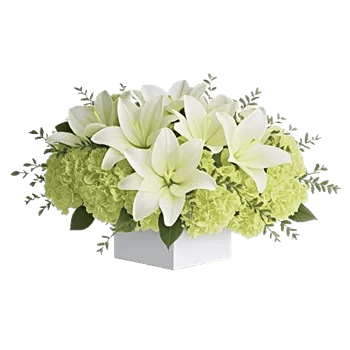 Graceful Lily Display