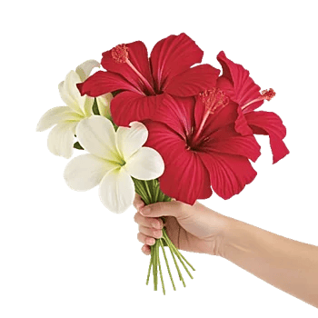 Petal Radiance Bliss