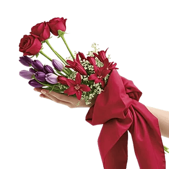 Crimson Rose Elegance