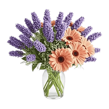 Lavender Bloom Grace