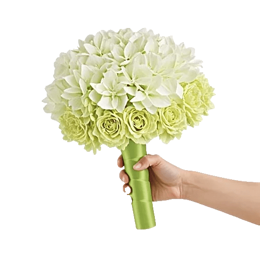 Serene Petal Harmony