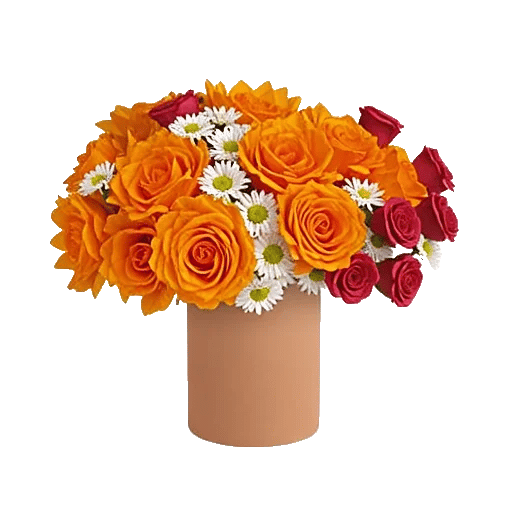 Petal Radiance Bliss