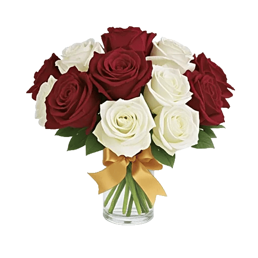 Crimson Rose Elegance