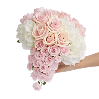 Delicate Petal Cascade