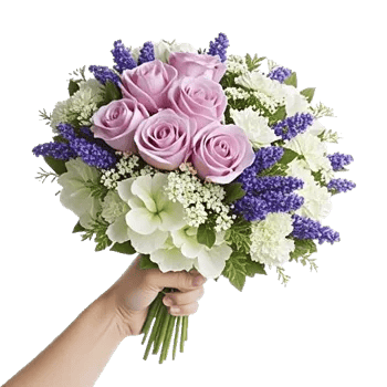 Serene Petal Harmony