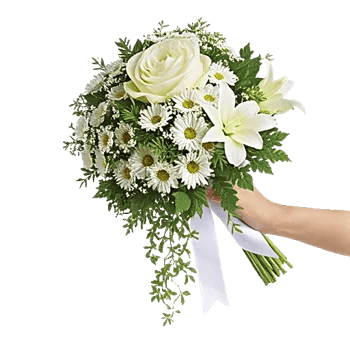 Delicate Petal Cascade