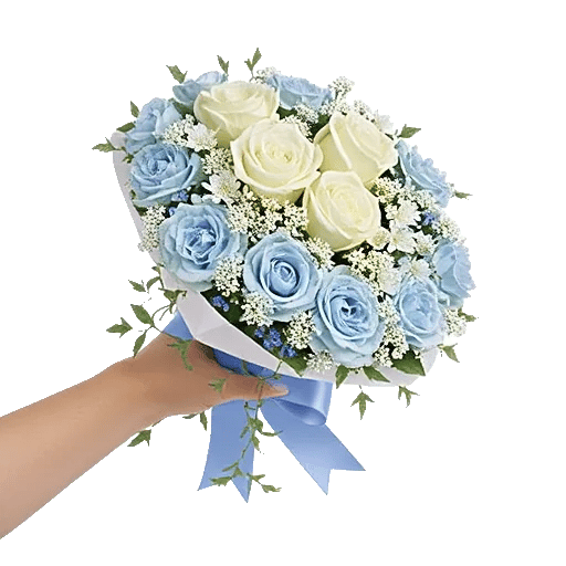 Serene Petal Harmony