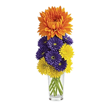 Radiant Bloom Cascade