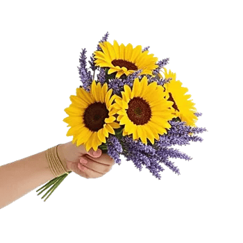Twinkling Sunflower Dance