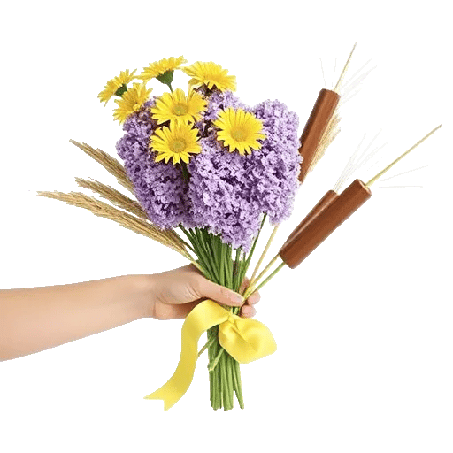 Blossom Harmony Display