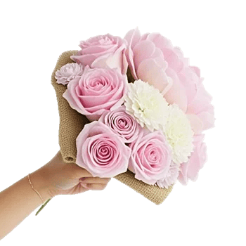 Pastel Pink Roses