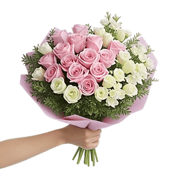 Pastel Pink Roses