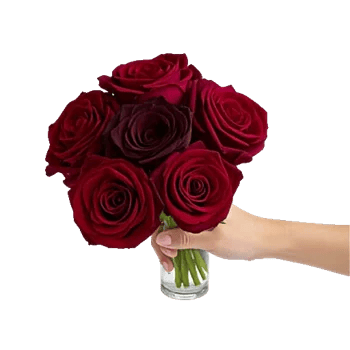 Crimson Rose Elegance
