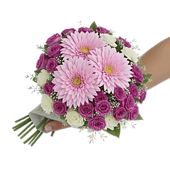 Blossom Petal Serenity