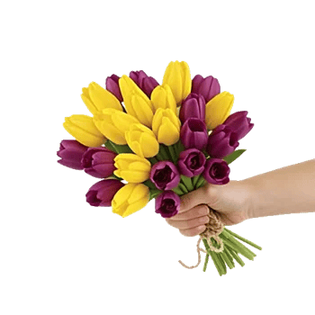 Velvet Tulip Display