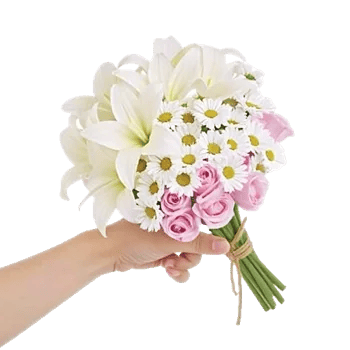 Blossom Harmony Display