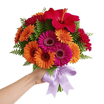 Silken Petal Array