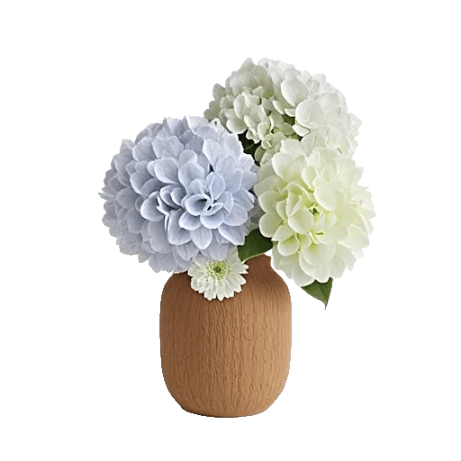 Ivory Blossom Radiance