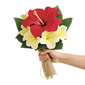 Tropical Sunflower Burst