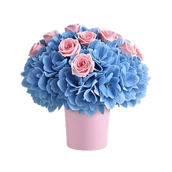 Serene Petal Harmony