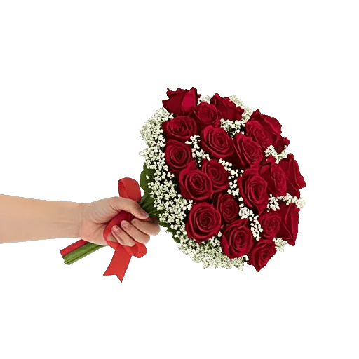 Crimson Rose Elegance