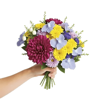Petal Harmony Bliss