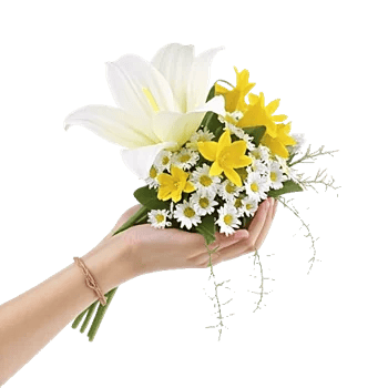 Graceful Lily Display