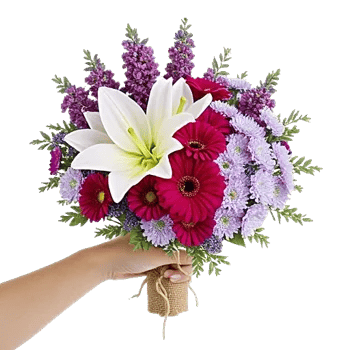 Blossom Harmony Display