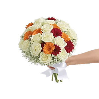 Blushing Rose Symphony