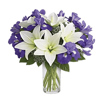 Ivory Blossom Radiance