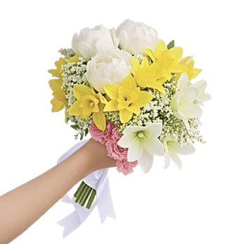 Delicate Petal Cascade