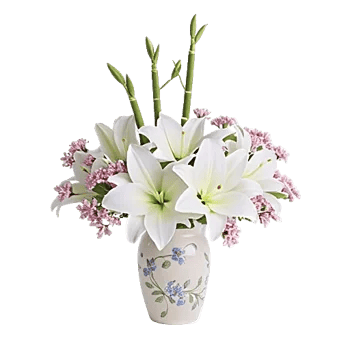 Ivory Blossom Radiance