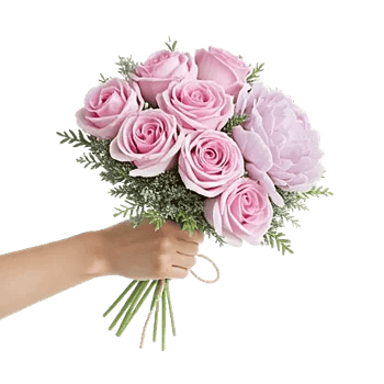 Pastel Pink Roses