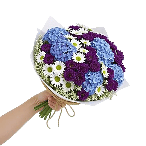 Serene Petal Harmony