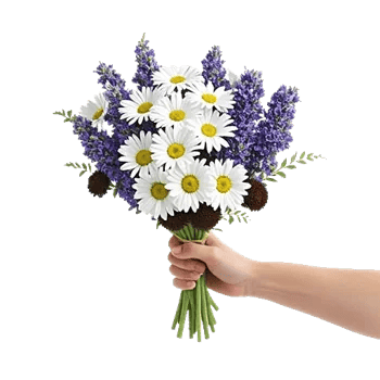 Enchanting Daisy Garden