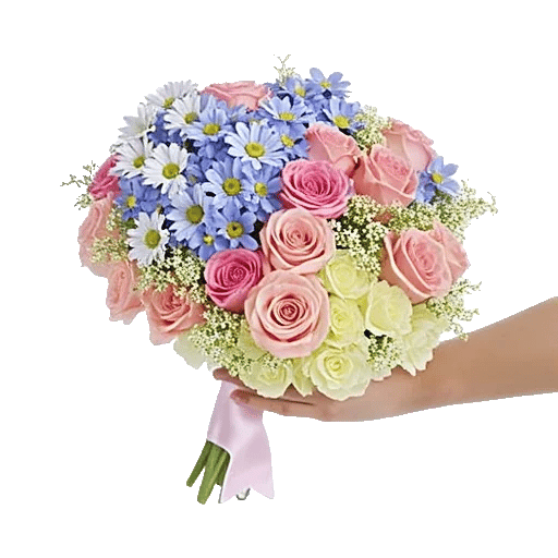 Blossom Petal Serenity