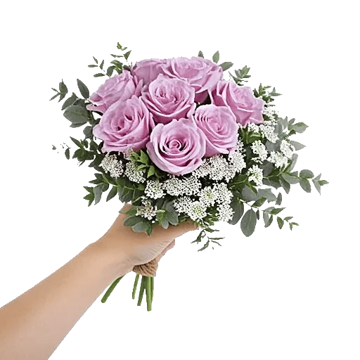 Petal Softness Display