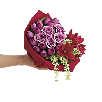 Crimson Rose Elegance