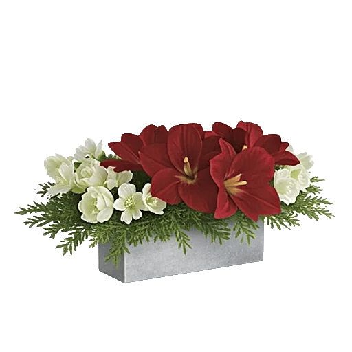 Elegant Calla Lilies