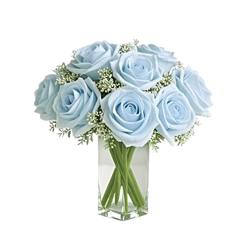 Elegant Blue Roses