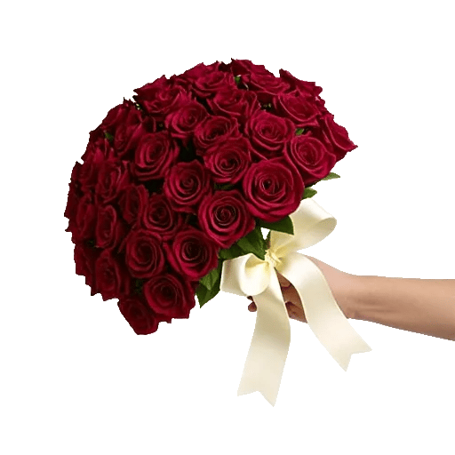 Crimson Rose Elegance